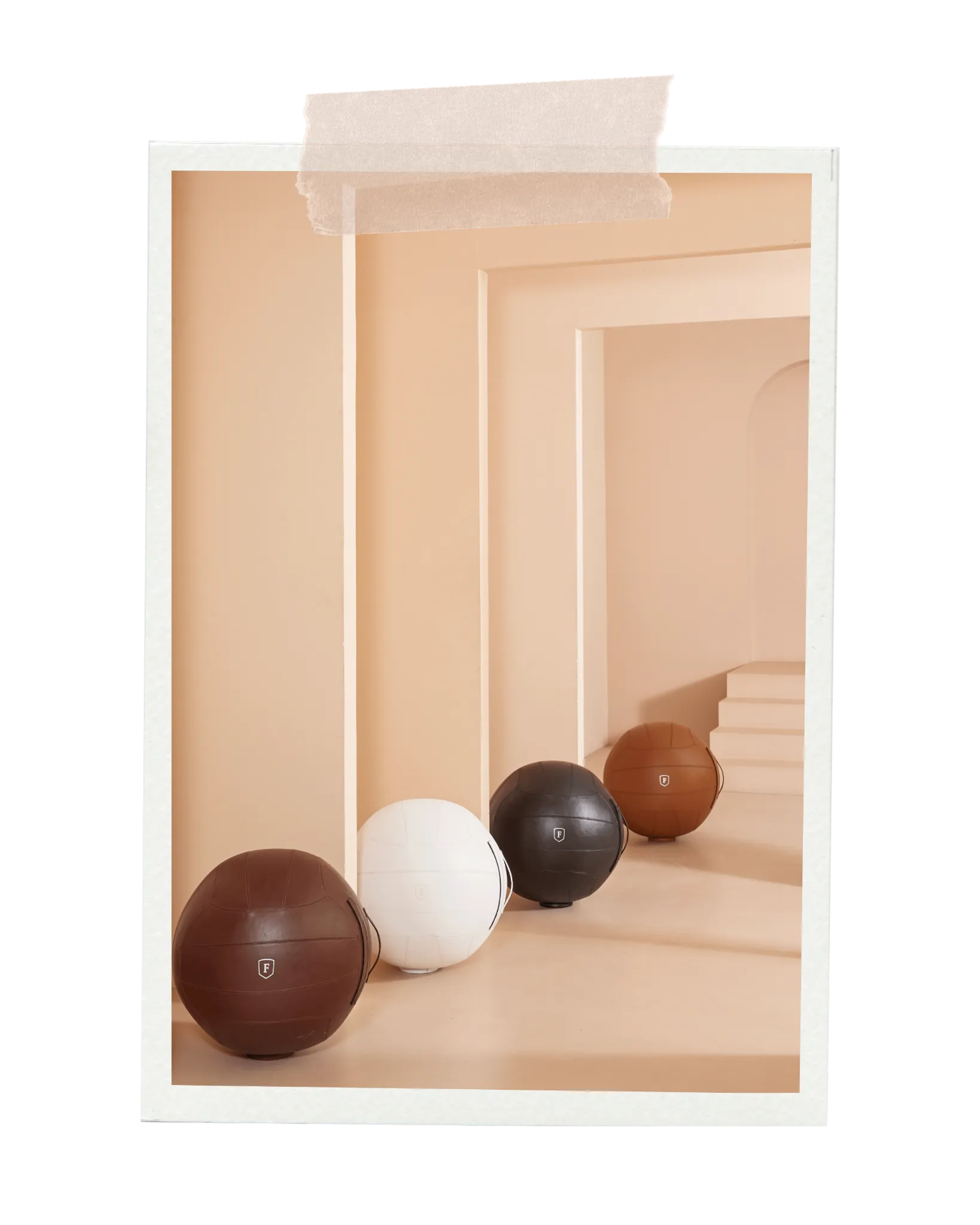 Leather training accessories